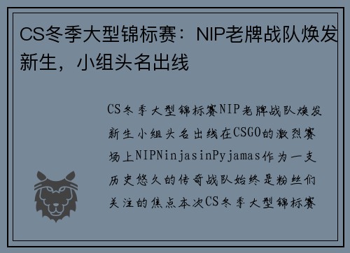 CS冬季大型锦标赛：NIP老牌战队焕发新生，小组头名出线