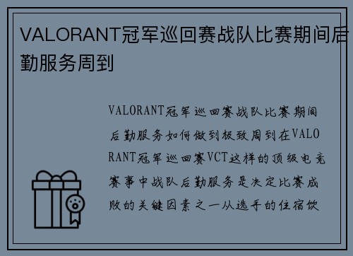 VALORANT冠军巡回赛战队比赛期间后勤服务周到