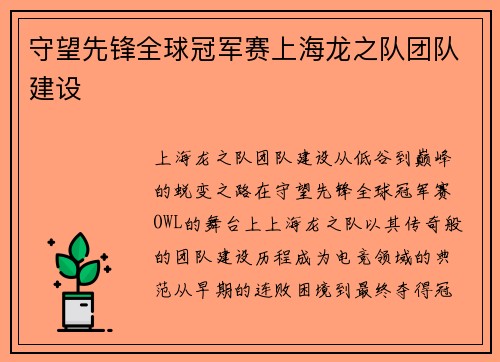 守望先锋全球冠军赛上海龙之队团队建设