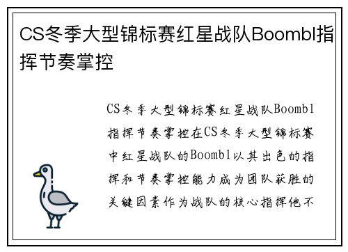 CS冬季大型锦标赛红星战队Boombl指挥节奏掌控