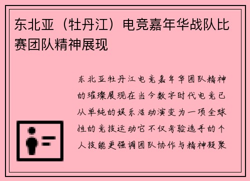 东北亚（牡丹江）电竞嘉年华战队比赛团队精神展现
